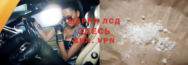 прущие грибы Нефтегорск