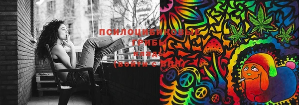 прущие грибы Нефтегорск