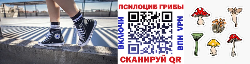 Купить где  Сургут  Галлюциногенные грибы GOLDEN TEACHER 